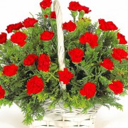 flowers-2253641_640