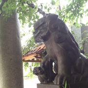 雉子神社の狛犬様