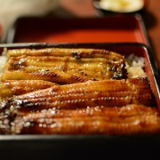 eel-645641_640